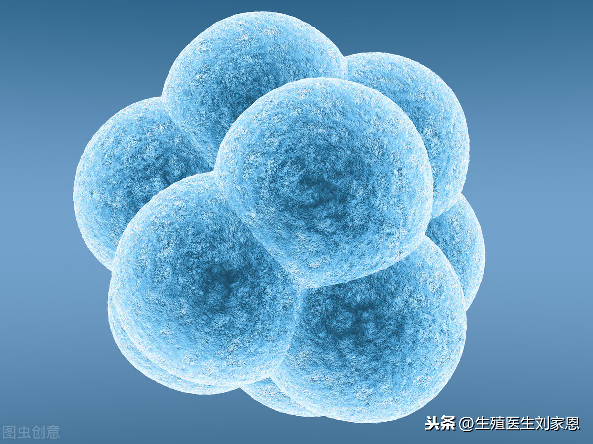 做试管婴儿要花多少钱?不孕家庭试管助孕费用明细(附省钱秘笈)