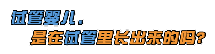 做试管婴儿有多“遭罪”?一篇漫画解释整个过程,看完泪目了