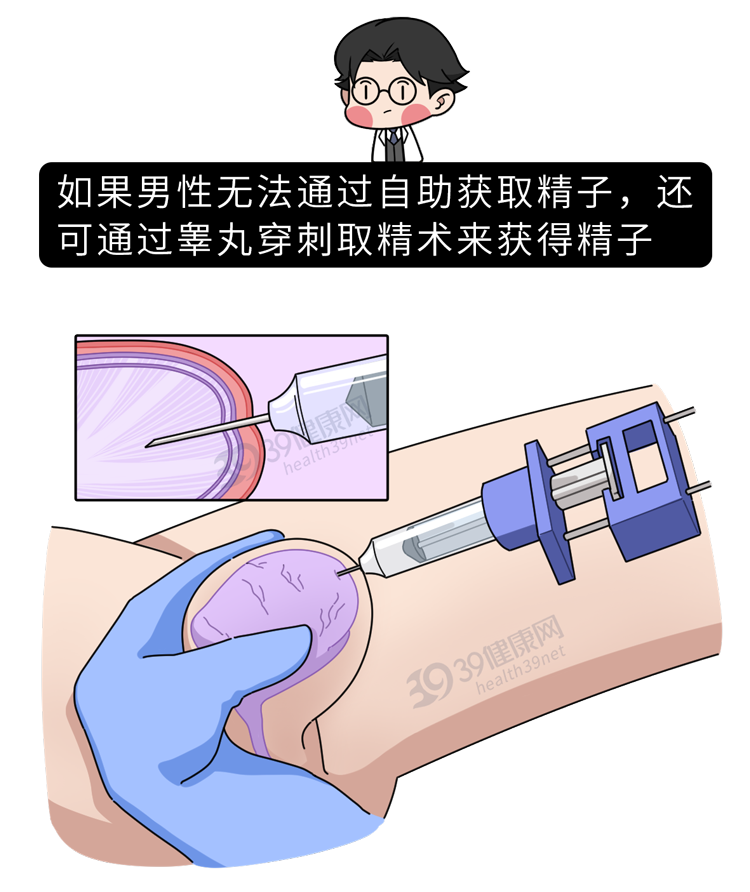 做试管婴儿有多“遭罪”?一篇漫画解释整个过程,看完泪目了