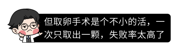 做试管婴儿有多“遭罪”?一篇漫画解释整个过程,看完泪目了