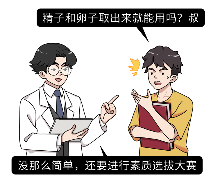 做试管婴儿有多“遭罪”?一篇漫画解释整个过程,看完泪目了