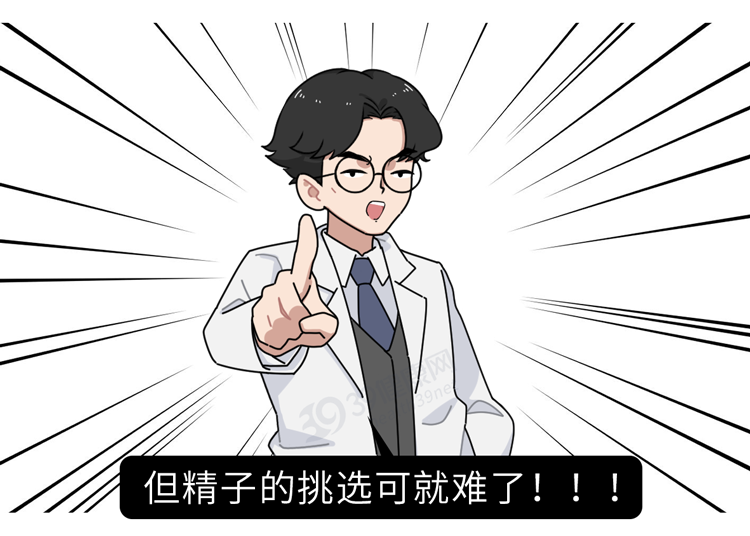 做试管婴儿有多“遭罪”?一篇漫画解释整个过程,看完泪目了