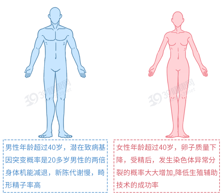 做试管婴儿有多“遭罪”?一篇漫画解释整个过程,看完泪目了
