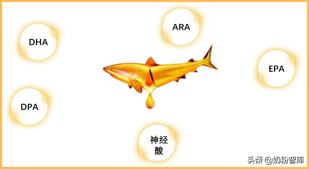 神奇的DHA,作用这么好!究竟怎么选?
