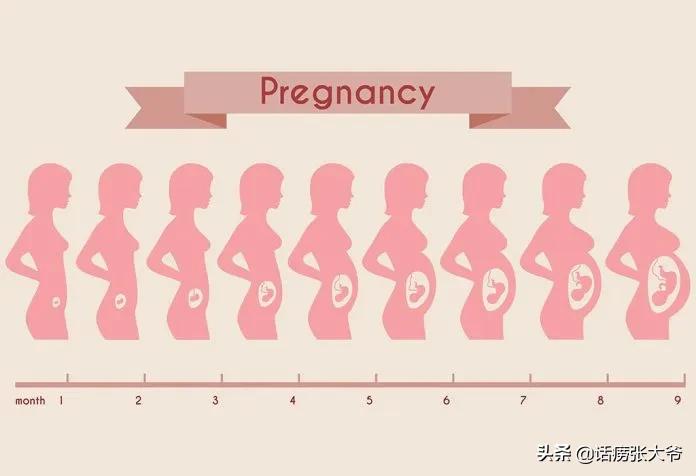 怀孕六个月胎儿图1至40周胎儿发育过程图