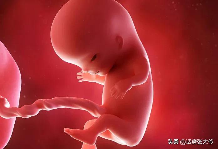 怀孕六个月胎儿图1至40周胎儿发育过程图
