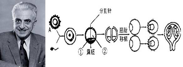 试管婴儿创世纪