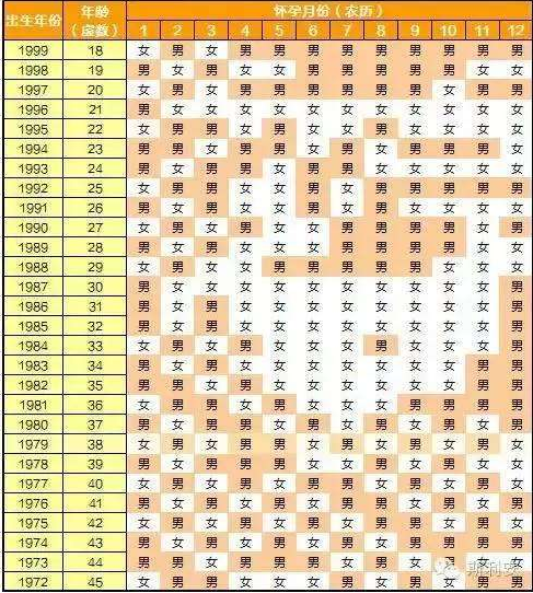 兔年2023清宫表图片